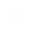 X-icon